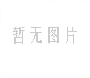XH-9分子筛类